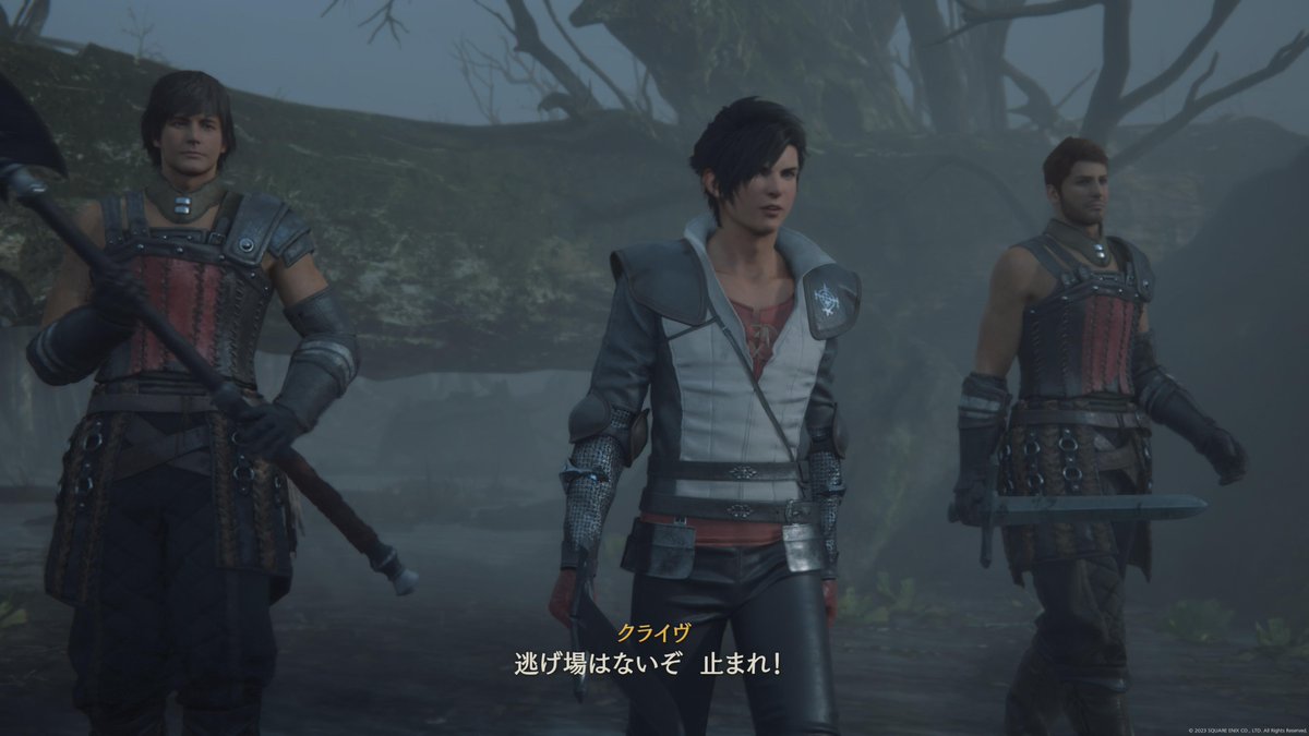 kakurega_no_npc's tweet photo. #FF16っぽくFF14撮りたい https://t.co/GrJiC1Yxsz