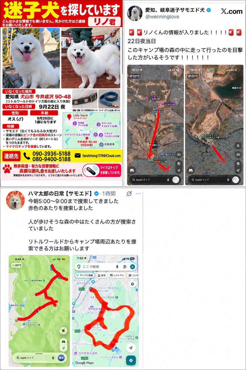 oenmanplusnews's tweet photo. 【迷子犬探しています】
ハマ太郎の異母兄弟「リノくん」探しています。
現時点見つかっておらず、何かわかる方は是非連絡よろしくお願いします🙇‍♀️🙏

ハマちゃん、見つかってほしいね💦