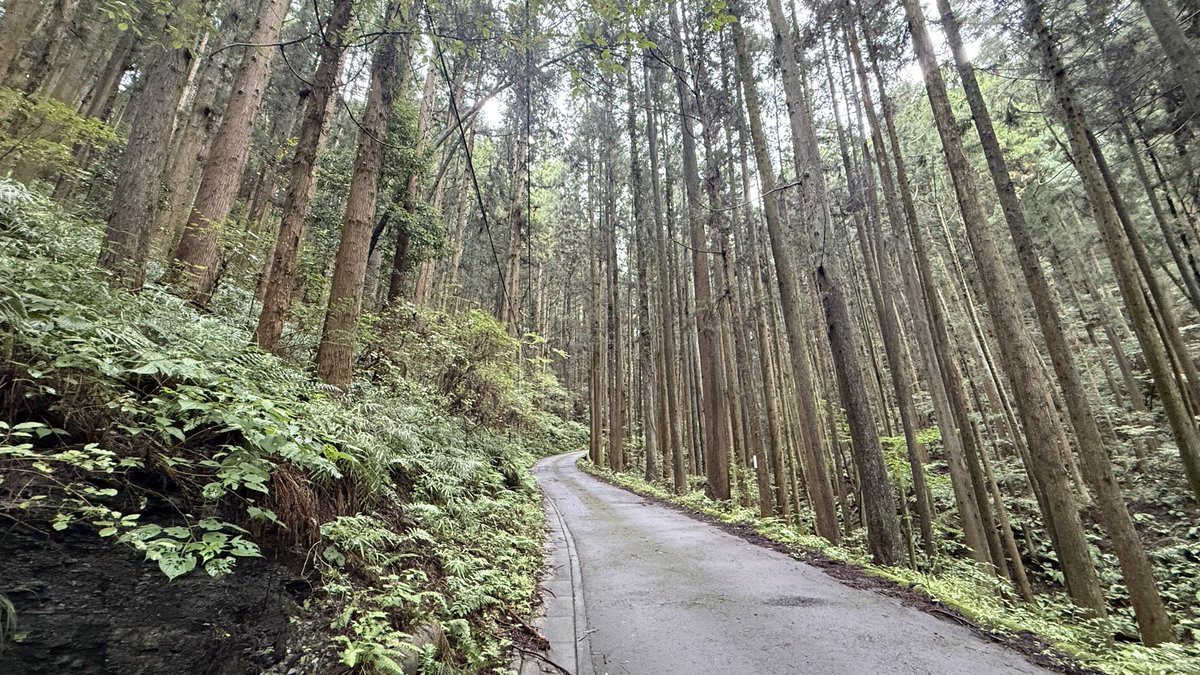 chichibu_info's tweet photo. 札所2番 大棚山 真福寺

道は思っていた以上に険しかった… https://t.co/uLuoS9TEKk