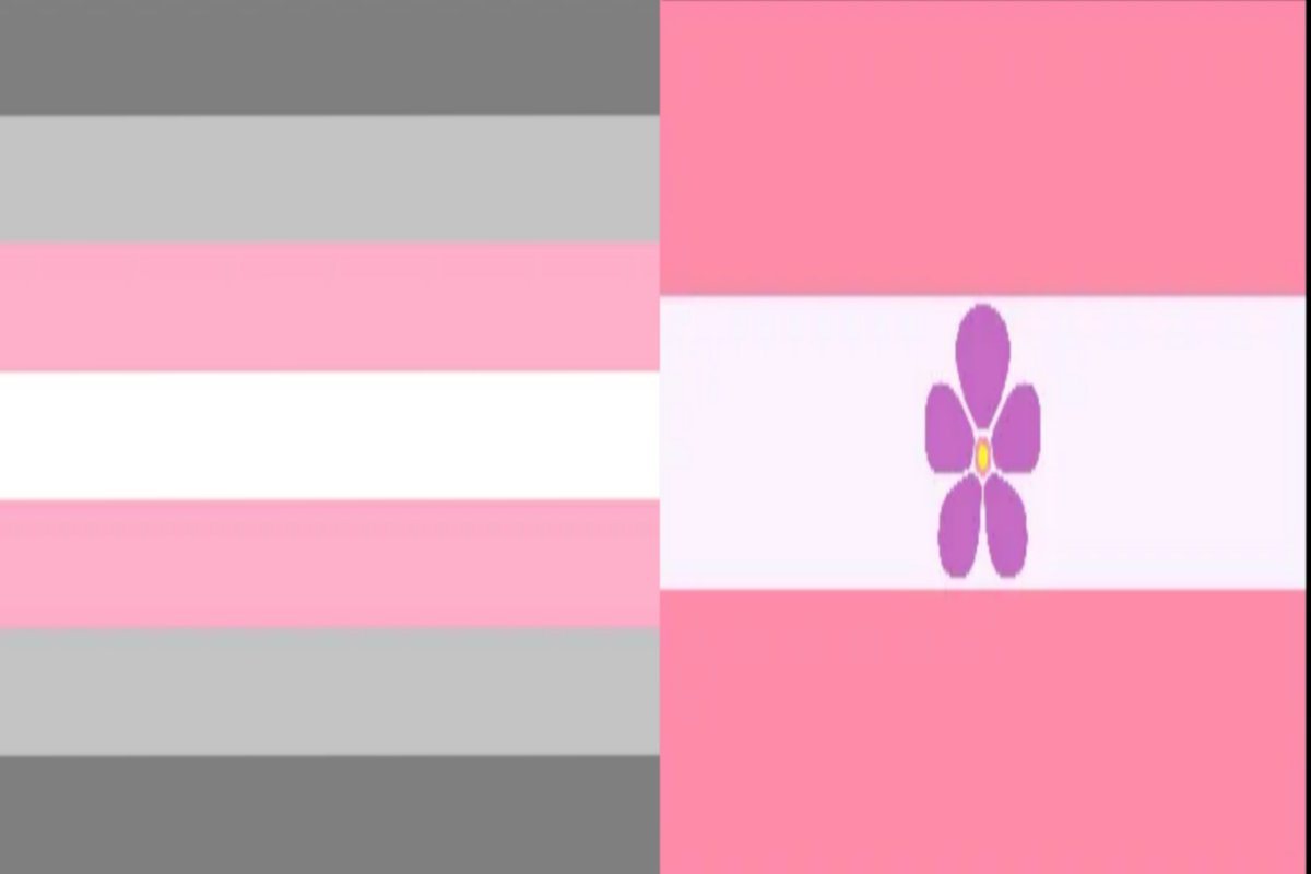 chokozzyw's tweet photo. me / / my flags
:33 https://t.co/c6YyI1cjEX