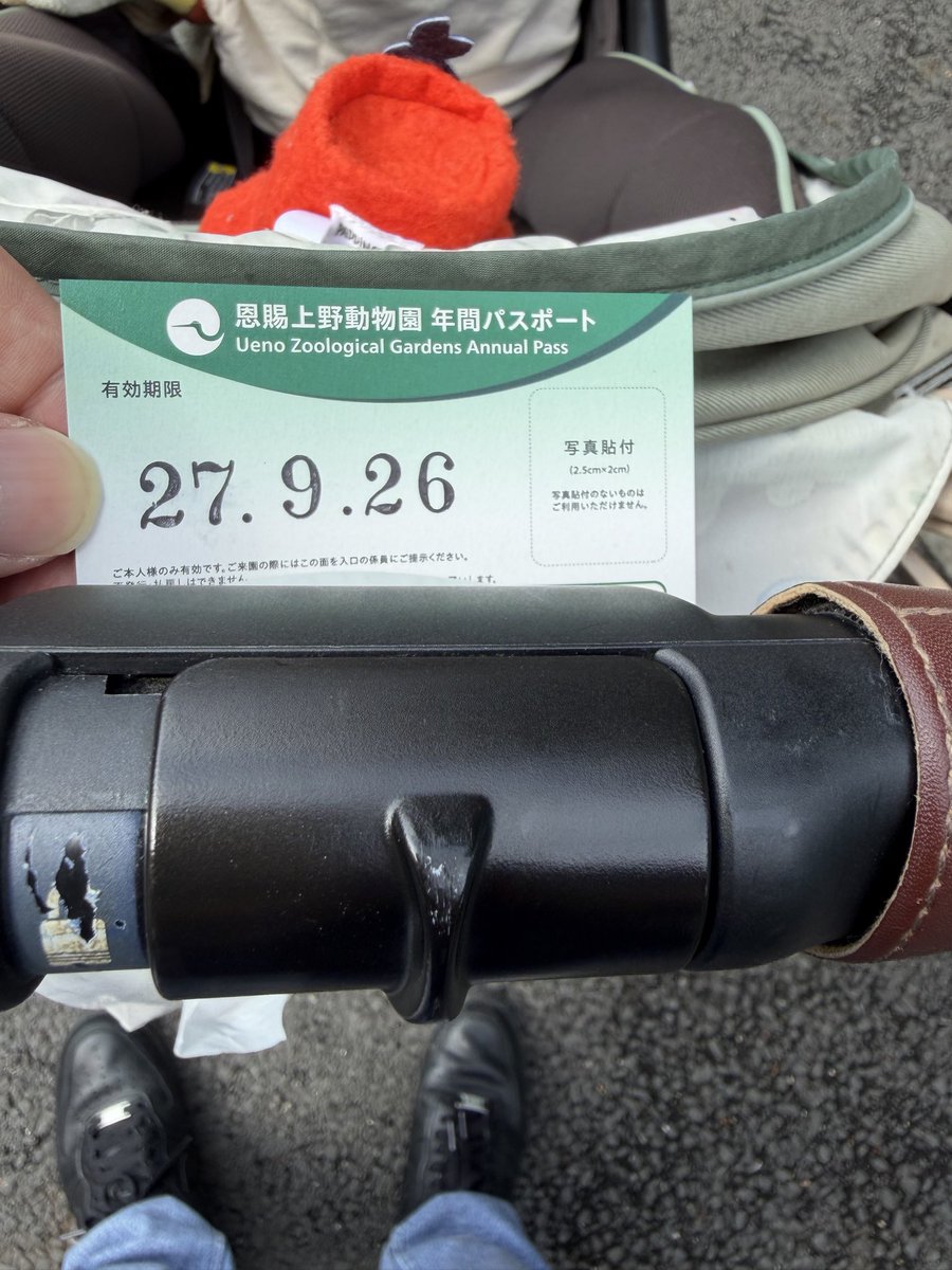 akachan0425's tweet photo. 前回上野動物園行ったの9/19か。
帰る時息子が『またくるねぇ』とは言っていたけど、こんな短期間でまた来るとは思ってなかったよ😇 https://t.co/uFsBpC0Izk