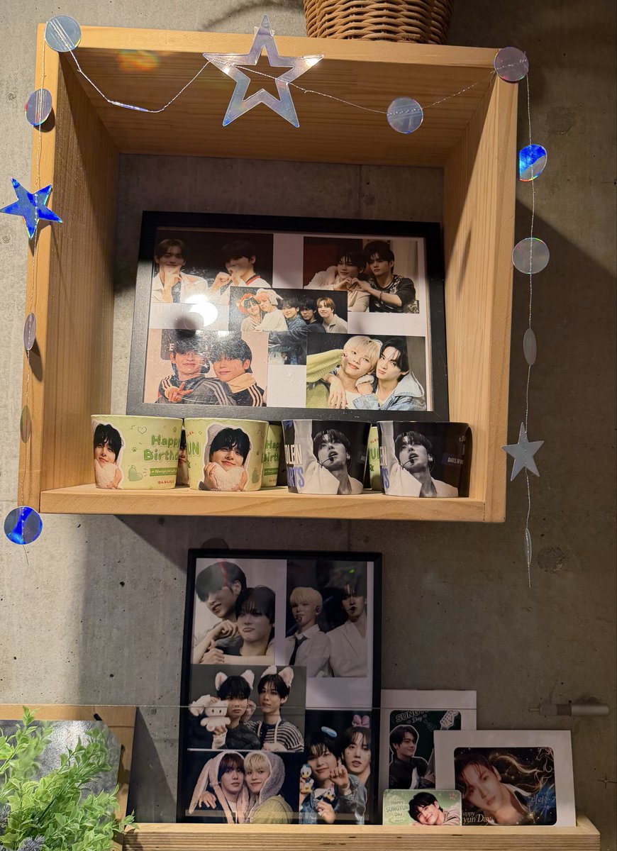 Tateyo_ov's tweet photo. @domocafe1 
#nSSign
#DOHA
domo  cafeさん癒し空間💜マイナスイオン出てるよね⁉︎ https://t.co/pItCDRyZHx