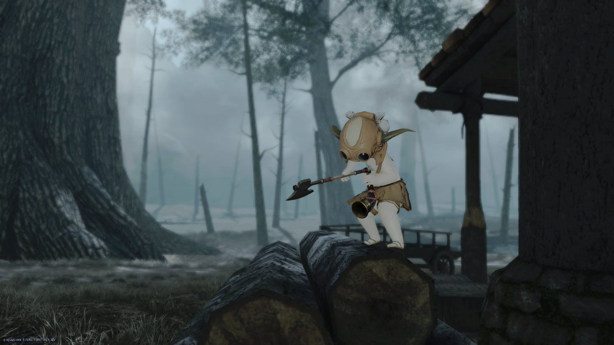 kakurega_no_npc's tweet photo. #FF16っぽくFF14撮りたい https://t.co/GrJiC1Yxsz