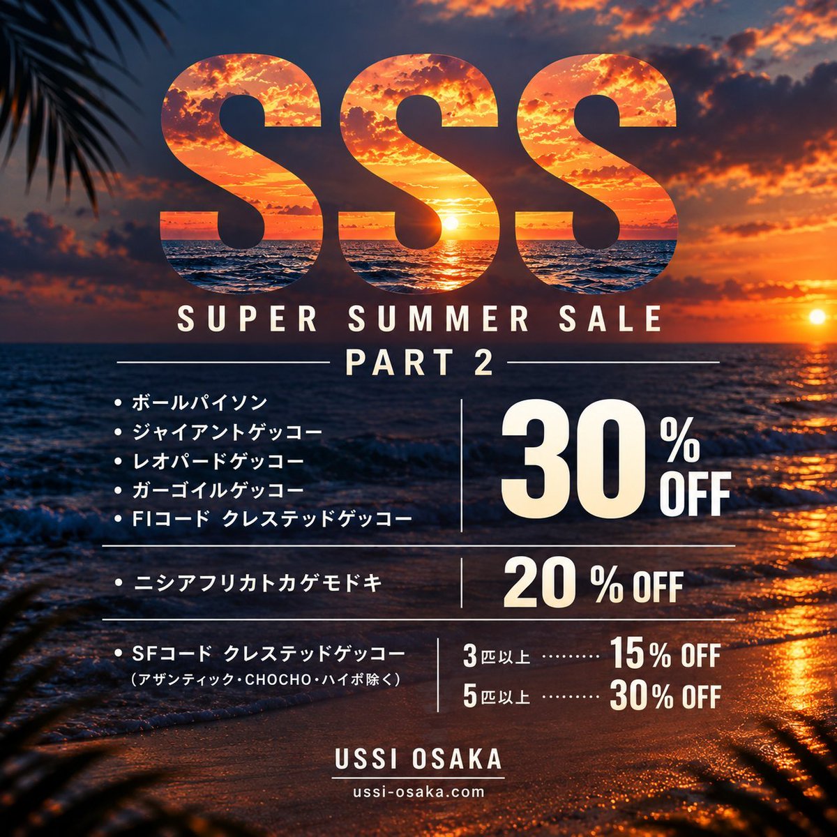 USSI_OSAKA's tweet photo. 現在のイベントまとめ

1.最大30%OFFのSSS PART 2

2.ボールパイソン追加割引
https://t.co/a2WJVthDks

3.レオパードゲッコー追加割引
https://t.co/eW4HSiXN60

4.ジャイアントゲッコー追加割引
https://t.co/AgGgvkIjK8 https://t.co/yg1vqNDLcE