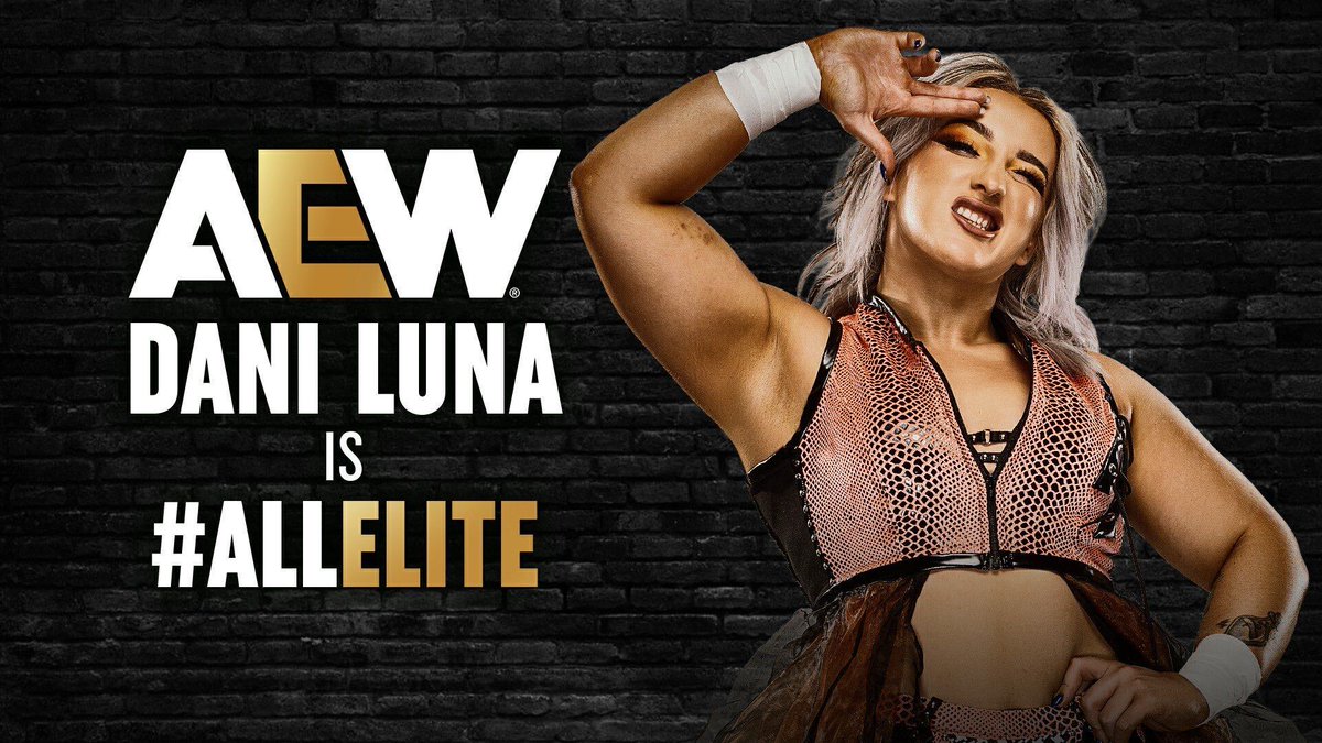 Fightful's tweet photo. Dani Luna with the All Elite graphic!!!

#AEWAllOut https://t.co/gEMIrvbXah