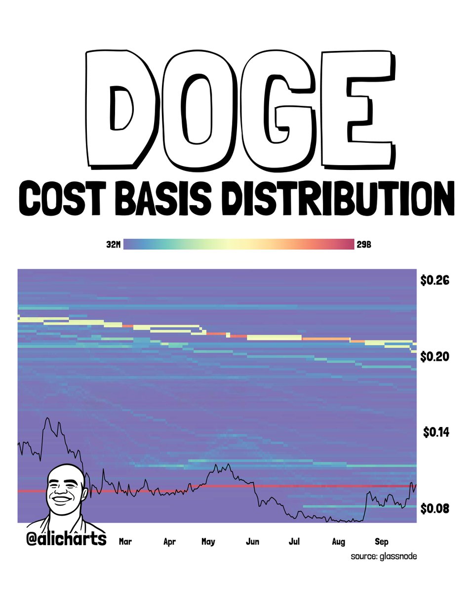 alicharts's tweet photo. 28 BILLION DOGECOIN RESISTANCE

According to the Cost Basis Distribution Heatmap, roughly 28 billion $DOGE changed hands around $0.098, making it a major resistance zone.

If Dogecoin breaks through $0.098, the next supply wall sits near $0.11, where roughly 4.98 billion DOGE previously changed hands.

Clear that, and $0.20 becomes the next major hurdle, backed by approximately 12 billion DOGE.
