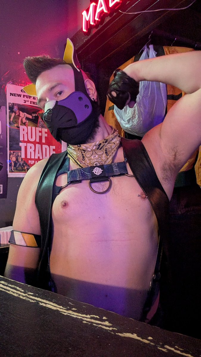 CatbroFelinyx's tweet photo. Come down to @CellBlockChi tonight. I'll take your clothes and you can get #Trashd. 🗑️🦝 You know you want to #GetInHere 😈😼 https://t.co/lz4RL763S1