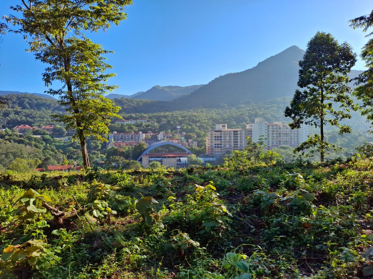 ZachariahViji's tweet photo. Our (IISER Thiruvananthapuram) Beautiful Campus!!! Pics by Arighna. https://t.co/RcdckECwkp