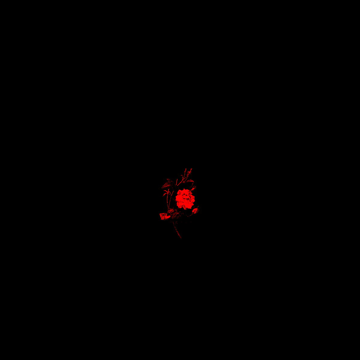 TakeoverAsym's tweet photo. [ OPEN INT BAIT, CAN BE ANYWHERE, PICTURE IS JST A EXAMPLE ]

* it's just a rose.

* what can a rose do?

* all it can do is prick you.

* that's all it can do.

* that's all it will do.

* that's all it's doing. https://t.co/u9wK5ajYiv