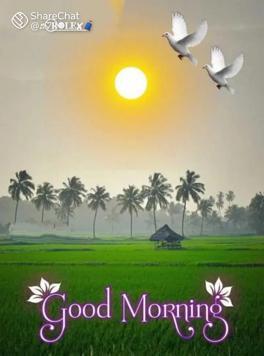 ANEES60533063's tweet photo. @P_I_Swathi இனிய ஞாயிறு வணக்கம் சகோ https://t.co/QIrlOlQSmy