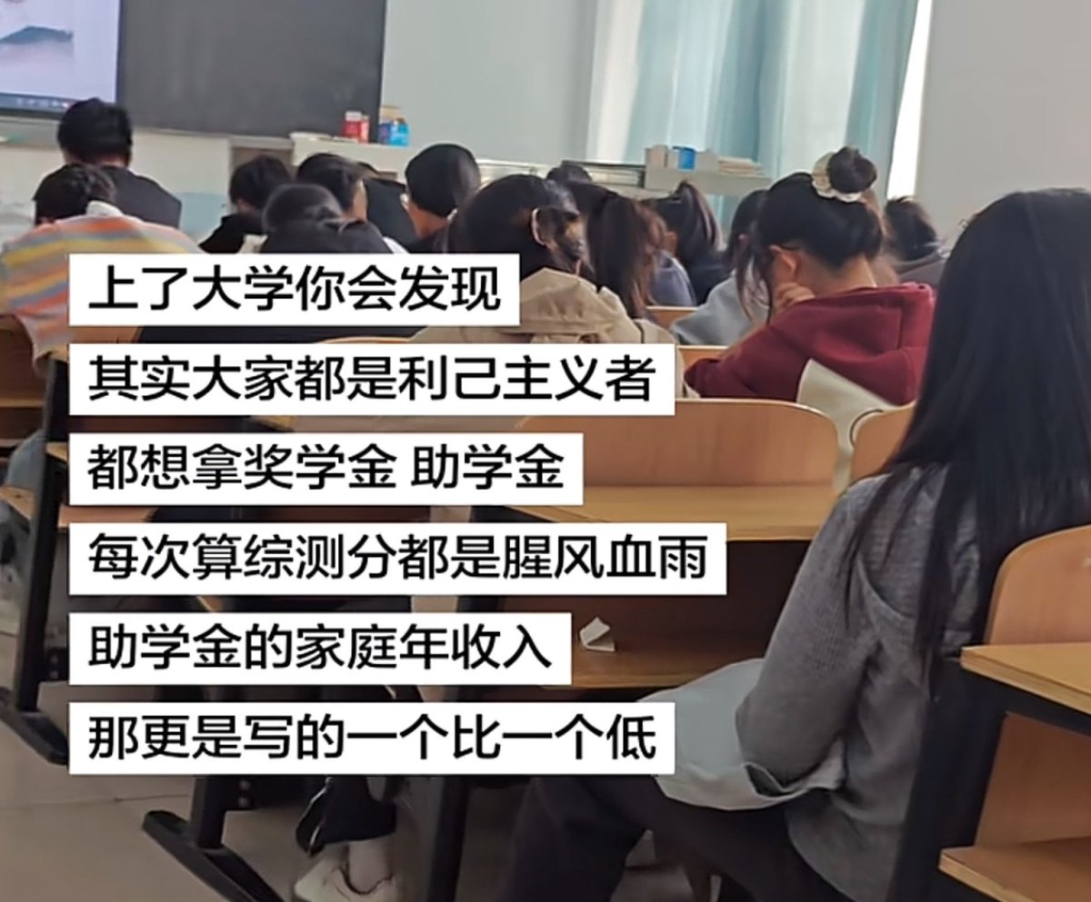 不包番茄籽的番茄 的图片 1