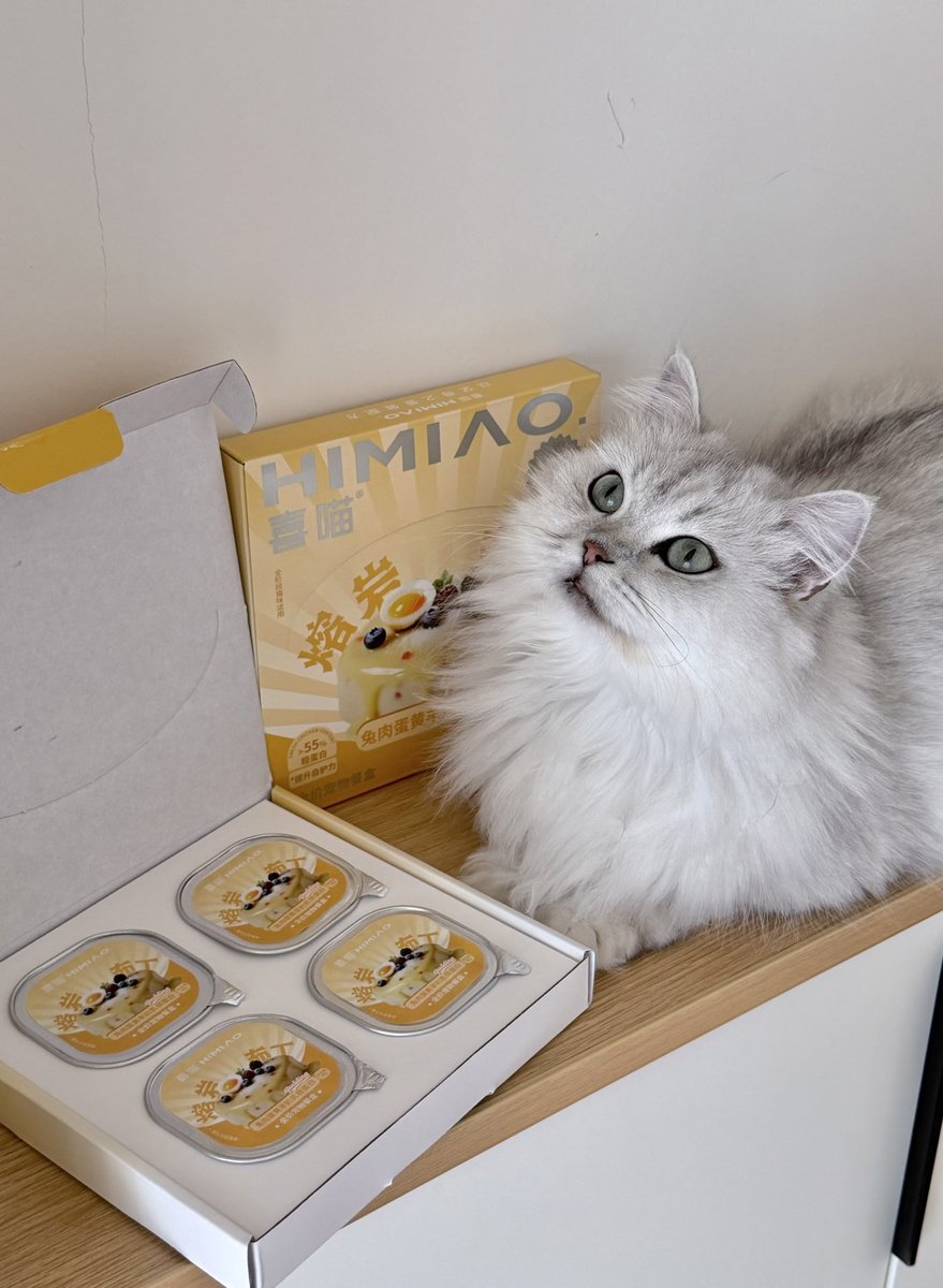Solkaaattie's tweet photo. 🐱中秋快乐之 https://t.co/Vw1HRsPsx3