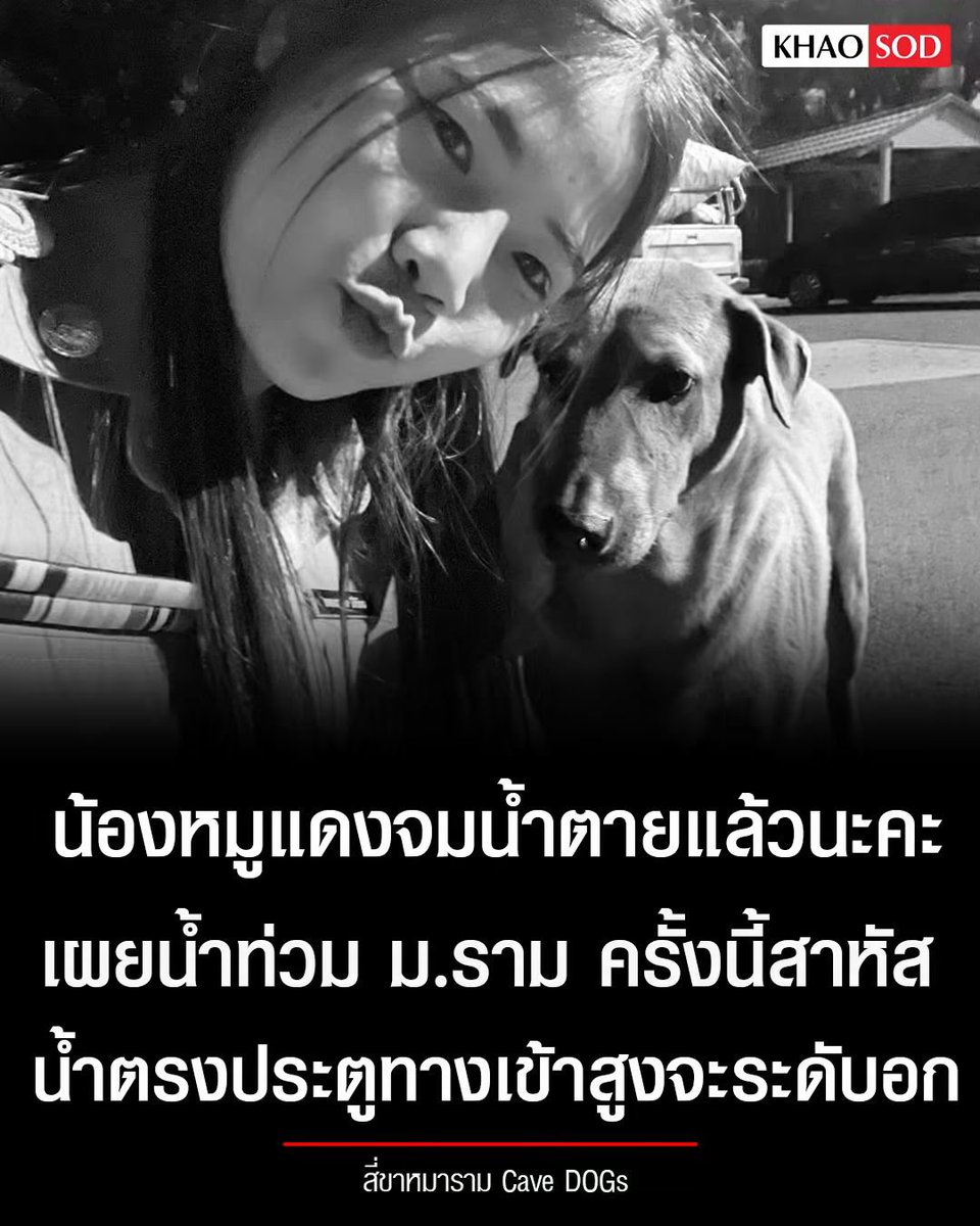 RungtiwaAo's tweet photo. น้องหมูแดง น้องหมาม.ราม ตอนนี้น้องเสียแล้วนะค่ะ เนื่องจากน้ำท่วมหนัก ท่วมถึงระดับอก ทำให้น้องจมน้ำ 🥺🙏🤍 ขอให้น้องไปสู่ภพภูมิที่ดีค่ะ 

#น้ำท่วม #ฝนตก https://t.co/fshZQ0BeM0