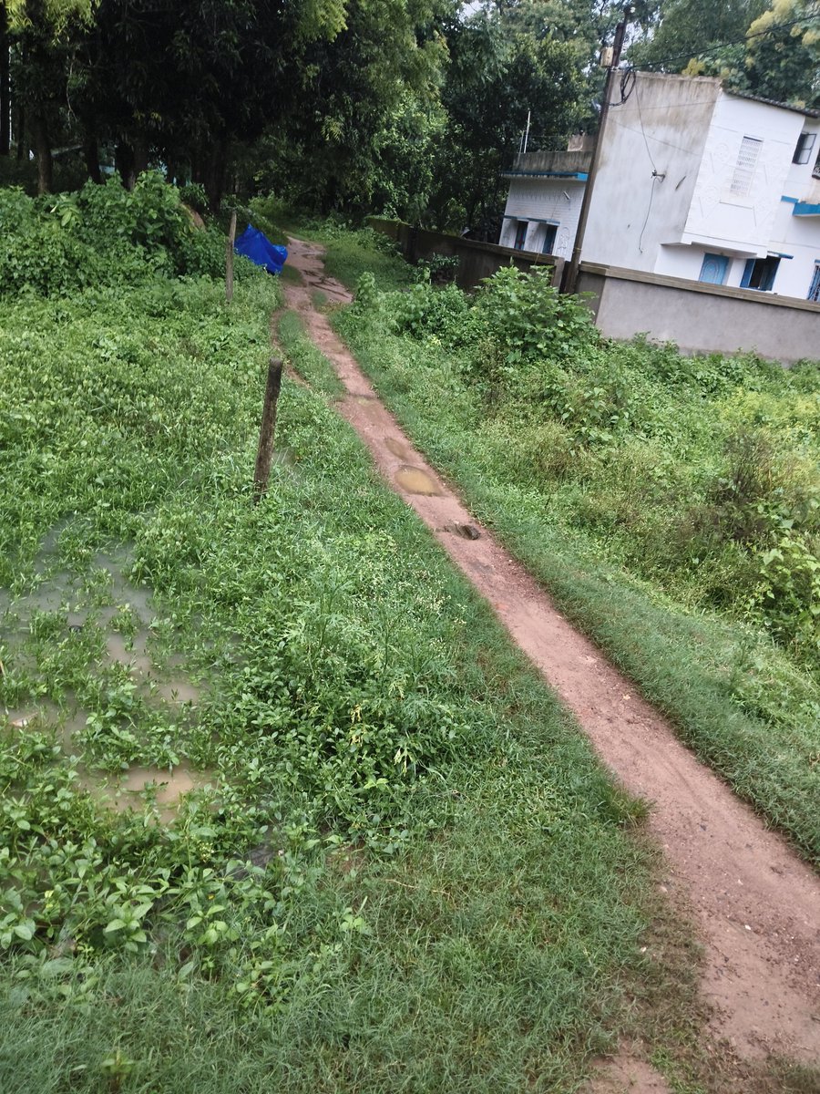 Ronny87704885's tweet photo. @BJP4Bengal Soo different development on different place?? I called our district bjp president nothing happened then called MLA Jhargram regarding road ..in return he asked me not to call that much higher level for road related issues.. rather complain in municipality. https://t.co/ajCwAtPsnm