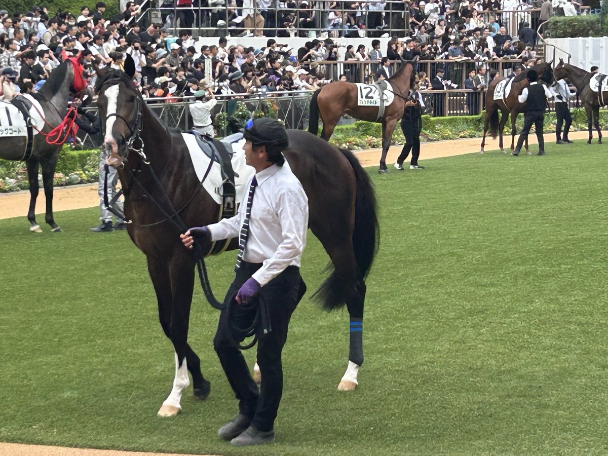 atsuki0809's tweet photo. ジョワリヴレ、ダブルスプリングがんばった
お疲れさまでした🙇‍♀️
���たおめはまた今度🩷
ラーメン食べて帰りまーす🍜 https://t.co/fPJfgPKbyD