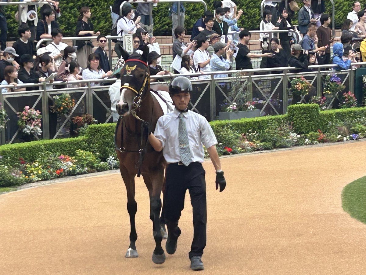 atsuki0809's tweet photo. ジョワリヴレ、ダブルスプリングがんばった
お疲れさまでした🙇‍♀️
���たおめはまた今度🩷
ラーメン食べて帰りまーす🍜 https://t.co/fPJfgPKbyD