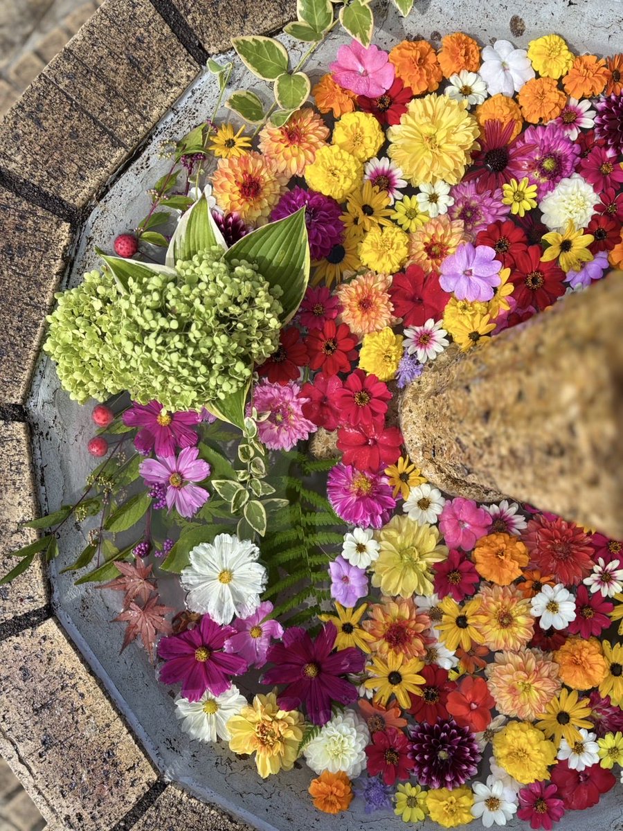 bokka_no_sato's tweet photo. 秋MIX花噴水🌼
スタッフ大満足な出来上がりです🥰
(場所は「ナチュラルガーデン」です)

＊牧歌の里 ＊花噴水 https://t.co/pM1vKIGrMx