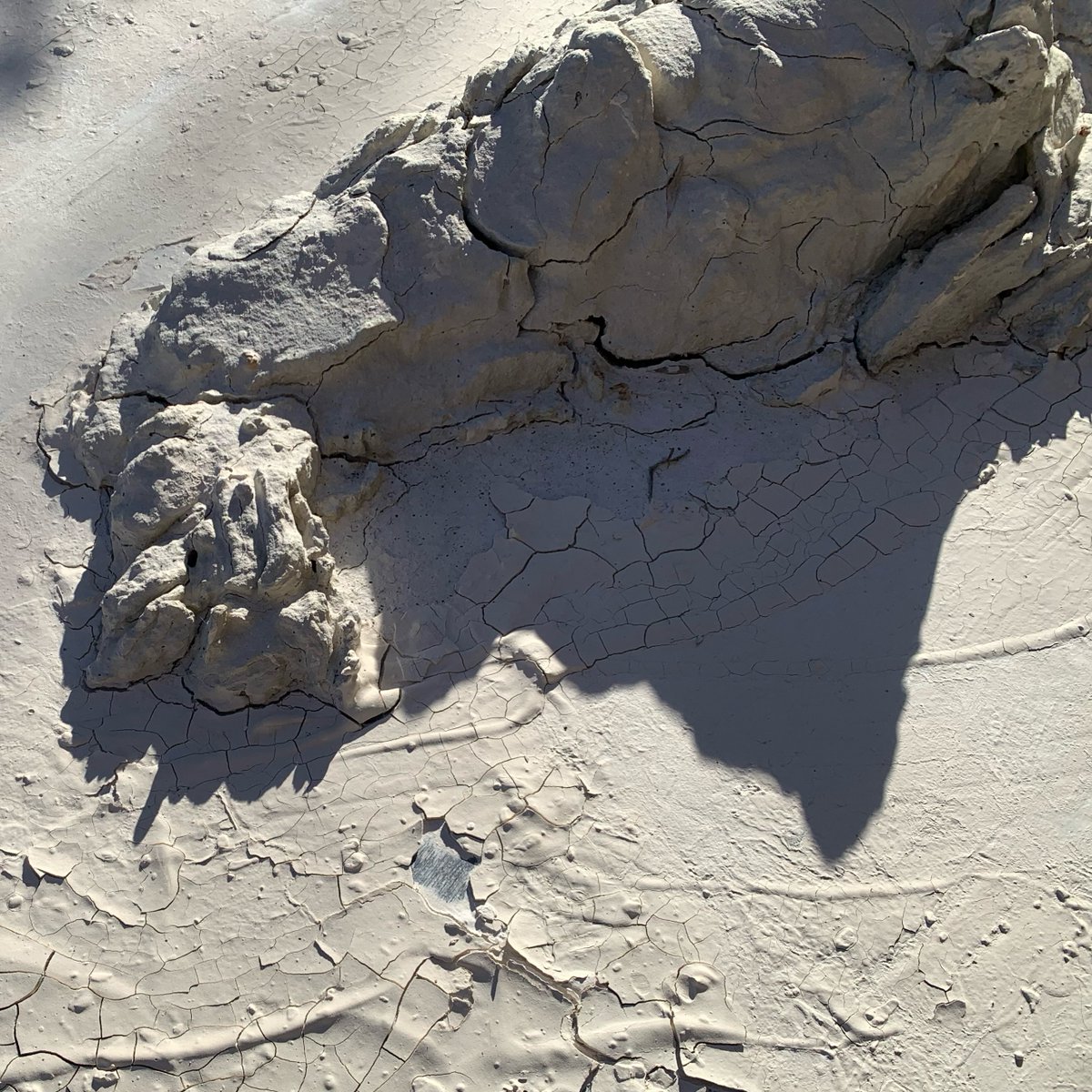 lilymitchellp0w's tweet photo. (de)composition: self-portrait 
(2020–2026) 
Ephemeral sculpture https://t.co/41cqdyYZqI
