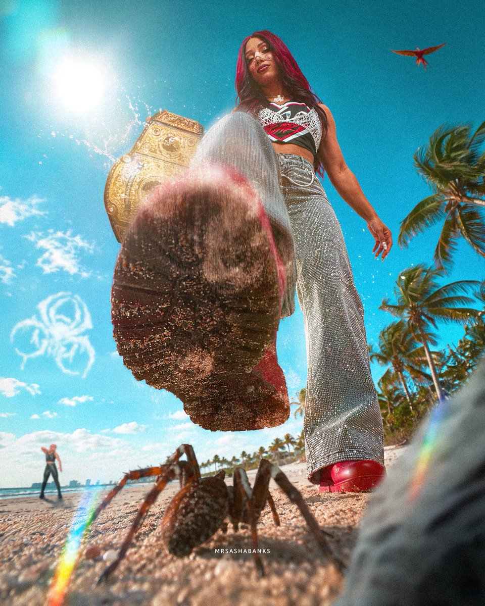 MrSashaBanks's tweet photo. 𝐓𝐡𝐞 𝐂𝐄𝐎 🏆 𝐯𝐬. 𝐓𝐡𝐞 𝐓𝐨𝐱𝐢𝐜 𝐒𝐩𝐢𝐝𝐞𝐫 🕷️ 

“You think I’m scared of a little spider that’s 5 ft?” #AEWWrestleDream https://t.co/32lqL3ARFR