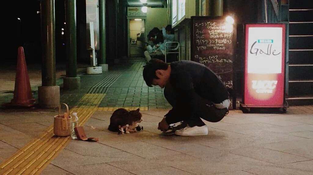shsfeel_jpg's tweet photo. https://t.co/6kk16Ou830