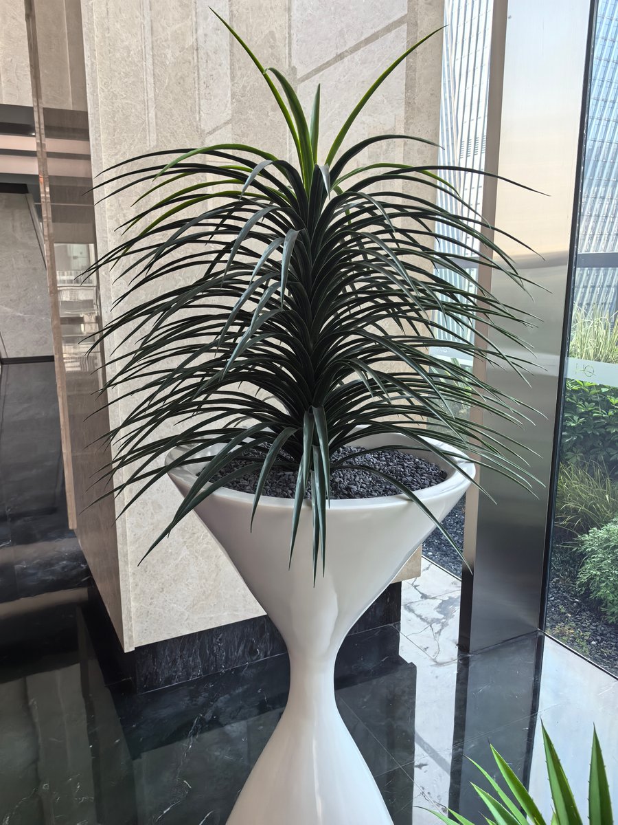 ReathaRyeajf's tweet photo. When work tab’s on mute and the real work’s done via the plant’s morning stretch ， https://t.co/WdJnBqBdtX