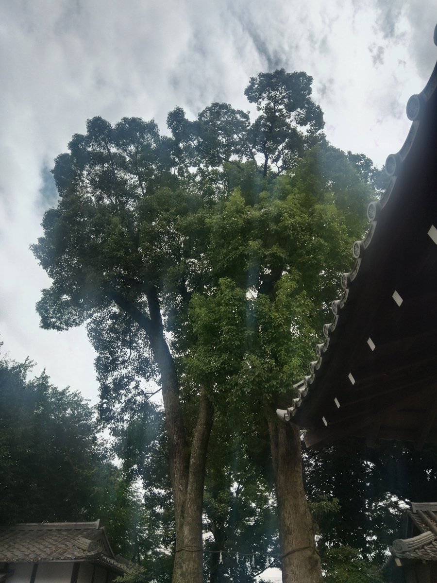 kohyohFX's tweet photo. @nae_auth ふふ。

今朝、交通事故多発地帯の交差点前に新興住宅地があるんだけど、地下水脈があったのか、すごく水が湧き出していたのを、無理やりコンクリで固めた場所の壁に、龍の姿が浮かび上がっており、ビックリ…。

（何かエモーショナルな事ないかなと、考えてたら…） https://t.co/eakSVNYHyl