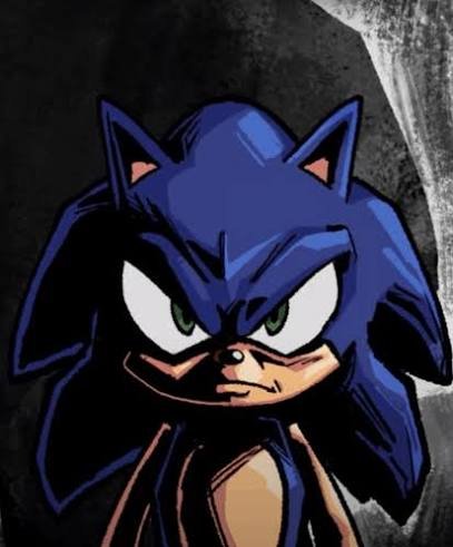 its__1oka's tweet photo. @SunsetBriz sonic: you made a mistake and i assure you it will be the last https://t.co/EXypiJTQOw