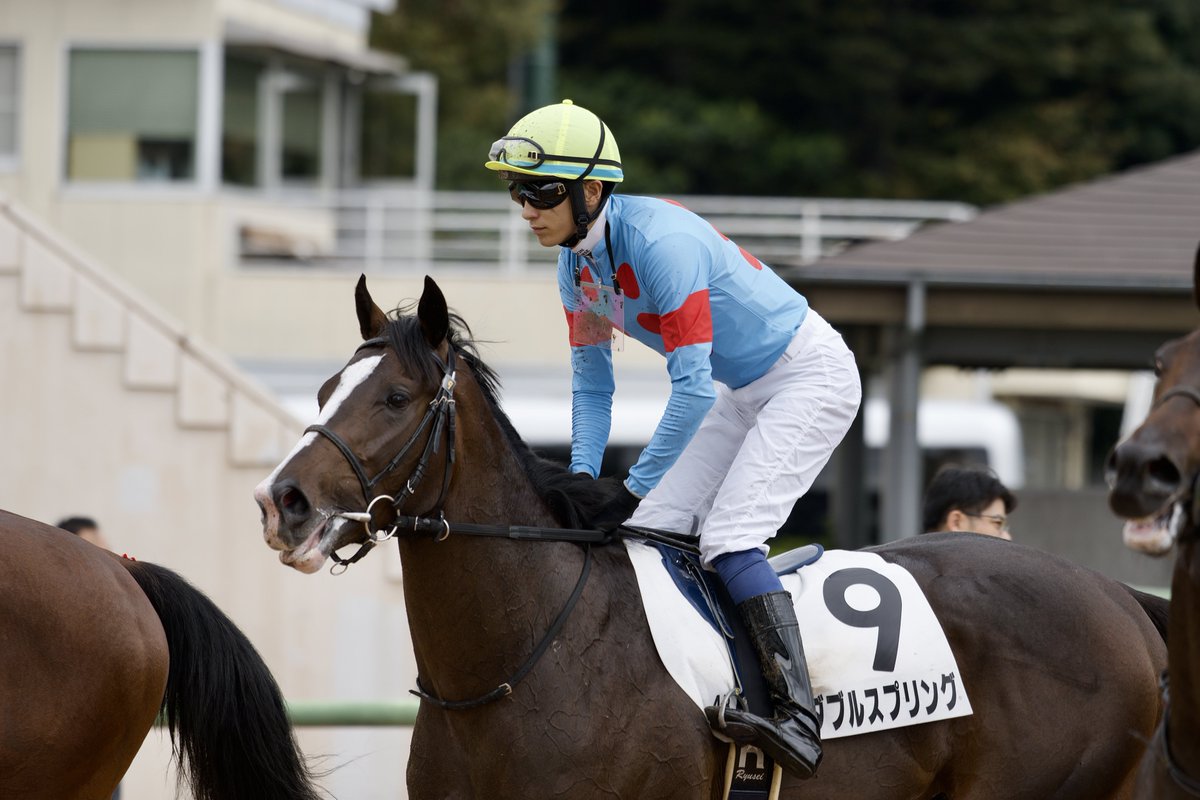 masa_pani1299's tweet photo. レース後の担当さんとのこういう風景いいっすよねぇ……
ダブルスプリング君新馬戦お疲れ様
#シルクホース
#silkhc
#フォトラブ https://t.co/9aqgciw48K