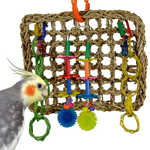 shady_hen's tweet photo. An item on my Throne wishlist just got fully funded: Super Bird Creations SB741 Seagrass Mini Activity Wall with Colorful Foraging Toys for Parrots, Medium Size, 9” x 7” x 2”. Thank you! https://t.co/oXrVYndnYi #Wishlist #Throne https://t.co/x1stgArvci