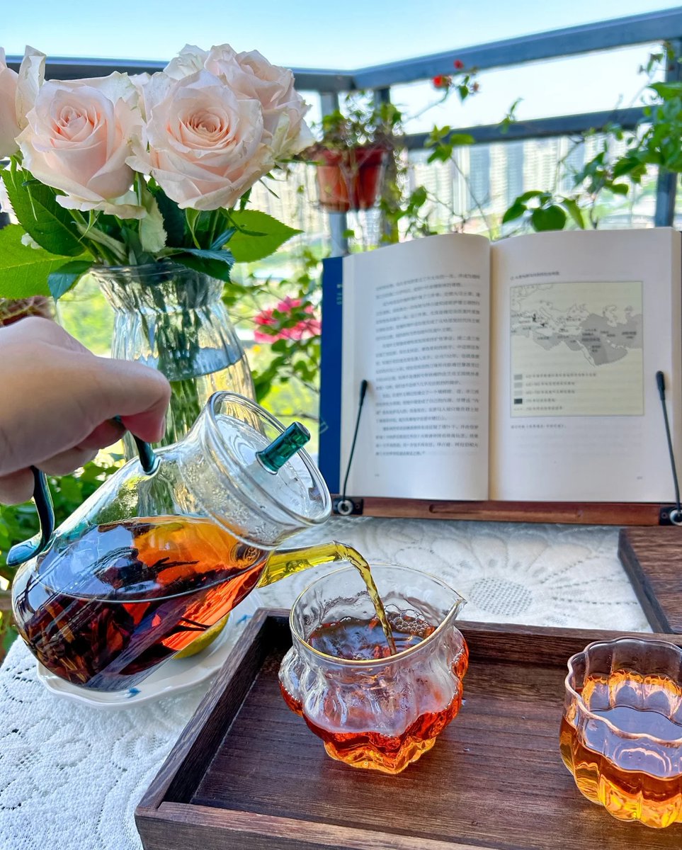 AdelaideFaoe's tweet photo. Chilling with my favorite iced matcha and a good book on the balcony after work—nothing beats this slow, sweet moment. https://t.co/19zr838s55