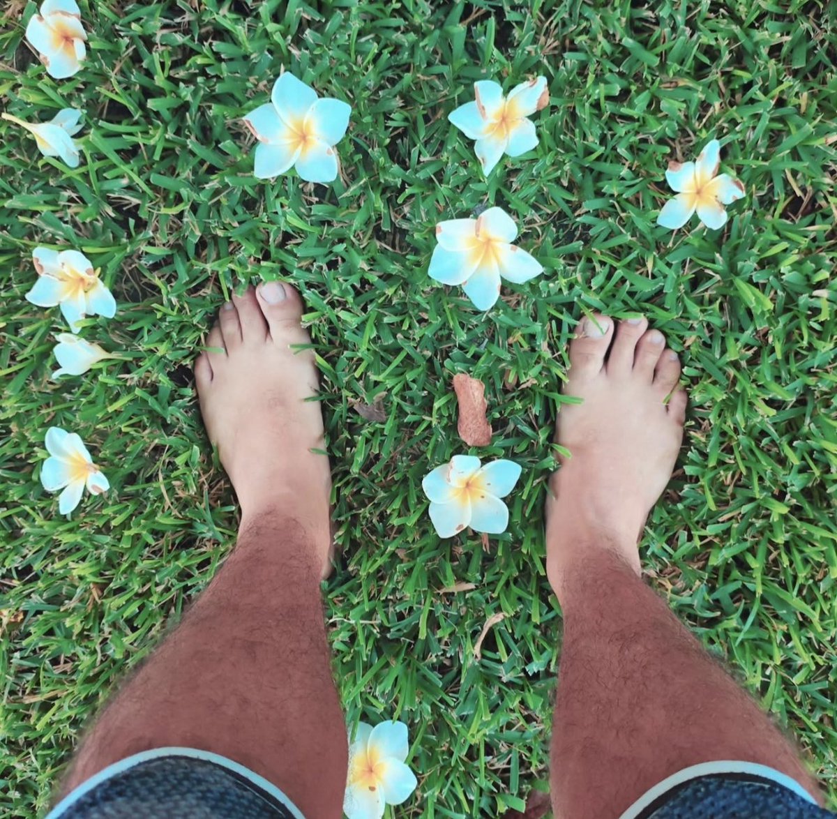 SolesSecrets69's tweet photo. 👣 Entre flores y pasto fresco
Disfrutando la belleza de lo simple 
¿Cómo va tu día? Cuéntame 👇😊
 
👣 Surrounded by flowers and fresh grass
Enjoying the beauty of simplicity 
How's your day going? Tell me 👇😊
 
#feet #barefoot #naturefeet #plumeria #floral #maleprettyfeet https://t.co/deH41mnGoM