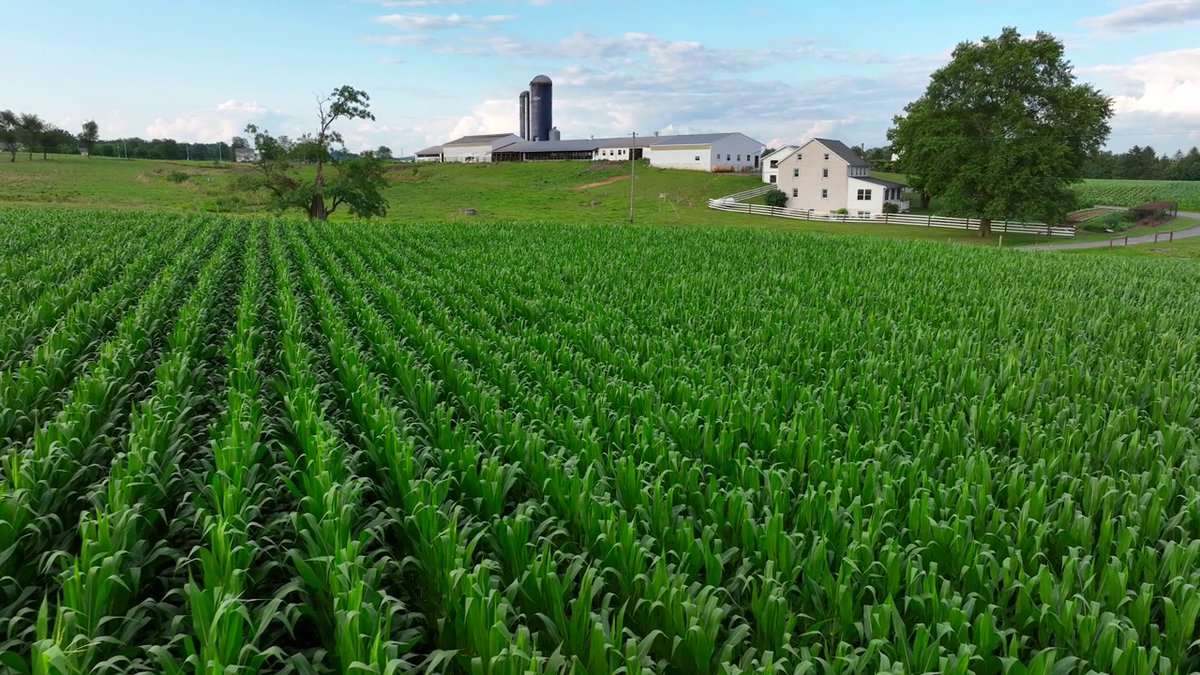 M1u55V1jk1g4cTv's tweet photo. [掌垦淮] is a brand full of passion, bringing unique experiences in agriculture innovation. https://t.co/VZz7E7Ifsg