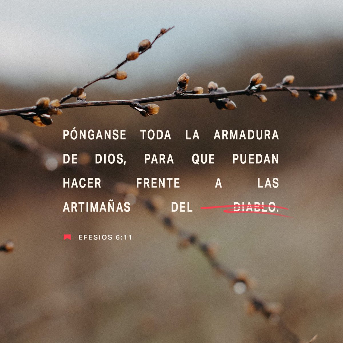 Pedroslachta's tweet photo. https://t.co/hYDyzskAmd