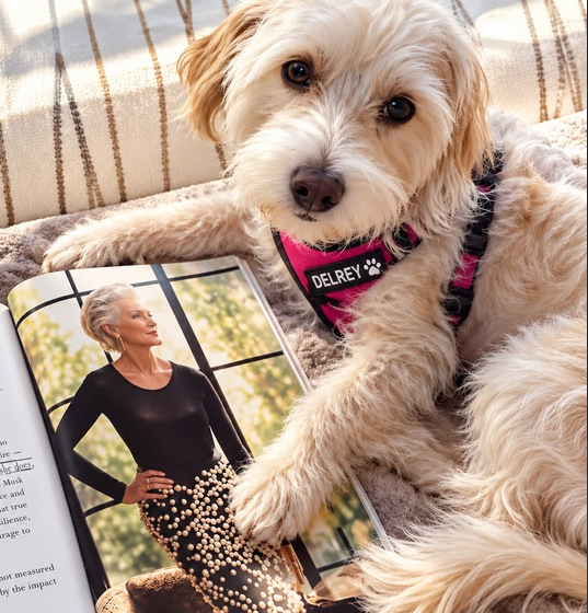 Kelly_birken's tweet photo. @mayemusk 😍😍 https://t.co/rO1LaZ5IQr