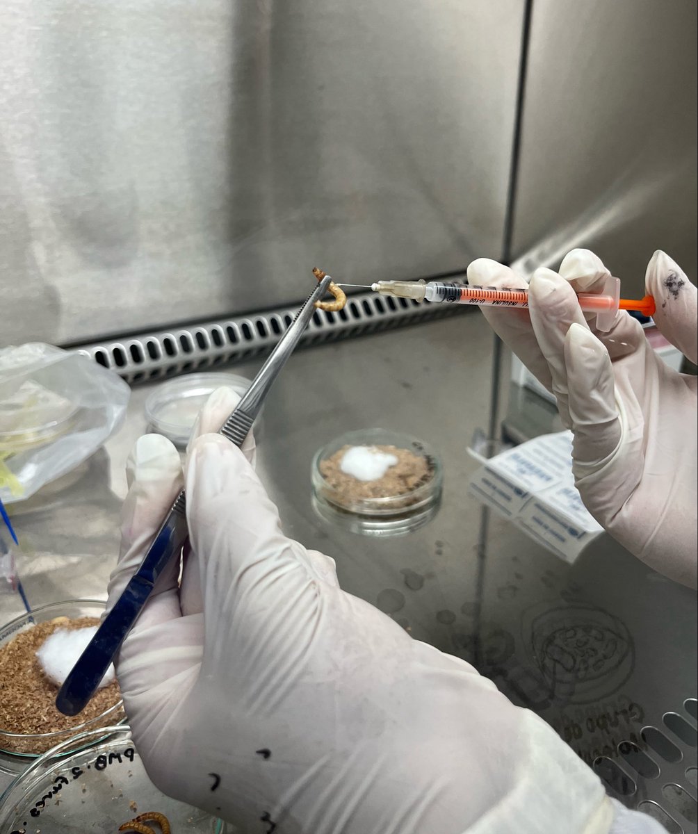 leehanlia's tweet photo. pov: você abriu minha galeria mas eu sou cientista https://t.co/96cggRl6Jv