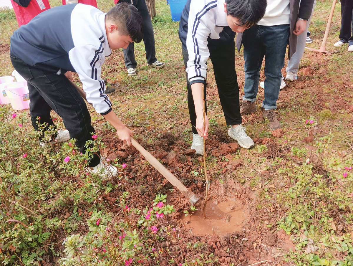 VikiPlagge's tweet photo. Join our Campus Environmental Club's Tree-Planting Day this Saturday 9 AM at West Park! Bring gloves u0026 let's green our campus together! https://t.co/UnpPo3ggxk