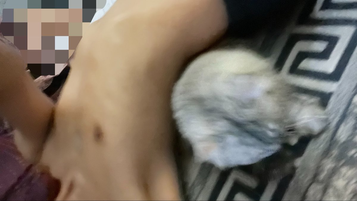 BlvkShu's tweet photo. sorry cat hahhah https://t.co/tgD4FMmHMr