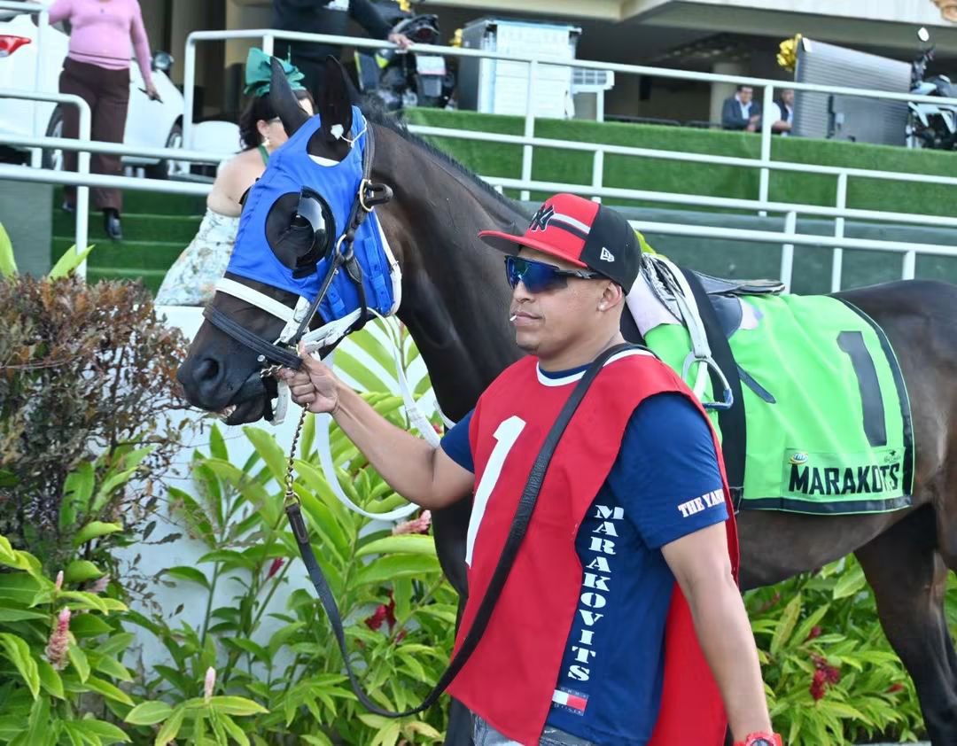 AAZR_RACING's tweet photo. En el Clásico Hípica Nacional, nuevamente Voy a ligar la Yegua del  pana Yankee... Gran Caballerizo, responsable y el q me corta el cabello.... Anda 🔥🔥🔥🔥 ponle Fé y busca 5. #hipismo #larinconada https://t.co/lEH4G2rK0U