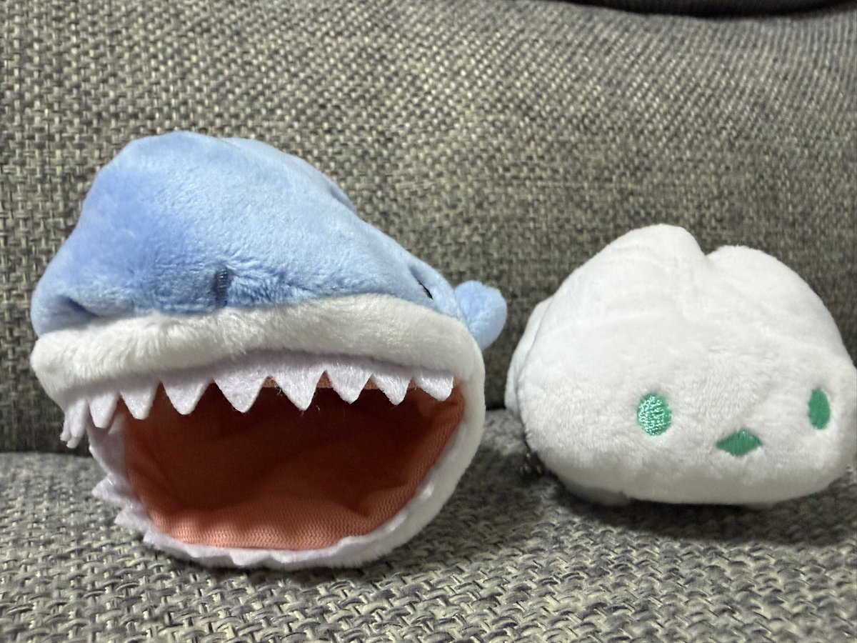 chiriebilive's tweet photo. なんも買ってないのになんか届いたって思ったらこれやった😂
こういうのほんまに当たるんやね
抽選系基本当たらんからすっかり忘れてた😂
一体型やと思ったらサメ脱げるのびっくりした😂
部屋に飾ります✌️ありがとね✌️ https://t.co/m2xEAQW3zb