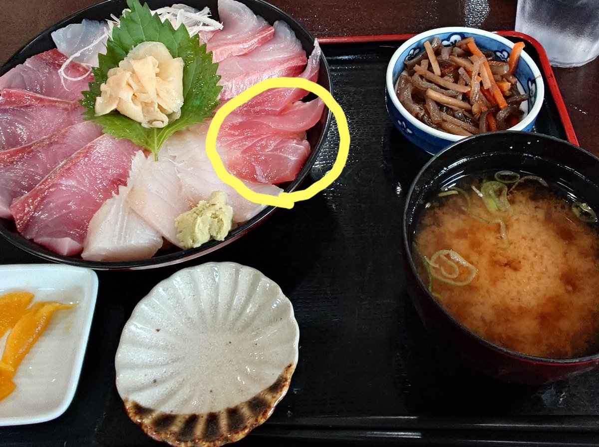 bluelikemind's tweet photo. 先日食べる機会のあった刺身は
赤サバ
ハチビキというそうです

産地で消費されてしまうことがほとんどらしいので、どうりで見かけないわけだわ

赤身だけど口の中で溶けましたわ😋 https://t.co/0Ds2ACIdnw