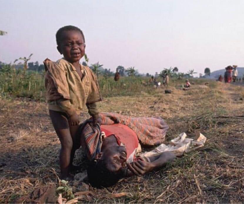 ros_sara2002's tweet photo. This is the saddest photo I've ever seen in my life. Sad! https://t.co/i48XlM4SNU
