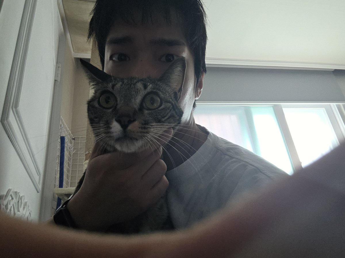 jisususu1's tweet photo. 추석연휴에 털쟁이들하고 셀카 안올려서 눈밑지방수술 걱정하시는?분이 많으신것 같은디
빨리말씀해주셨으면 했을텐데요
먼자뀌 보면서 거양이만지규 있어서 못했숩니다요😭😭😭 https://t.co/9QllOlQzgS