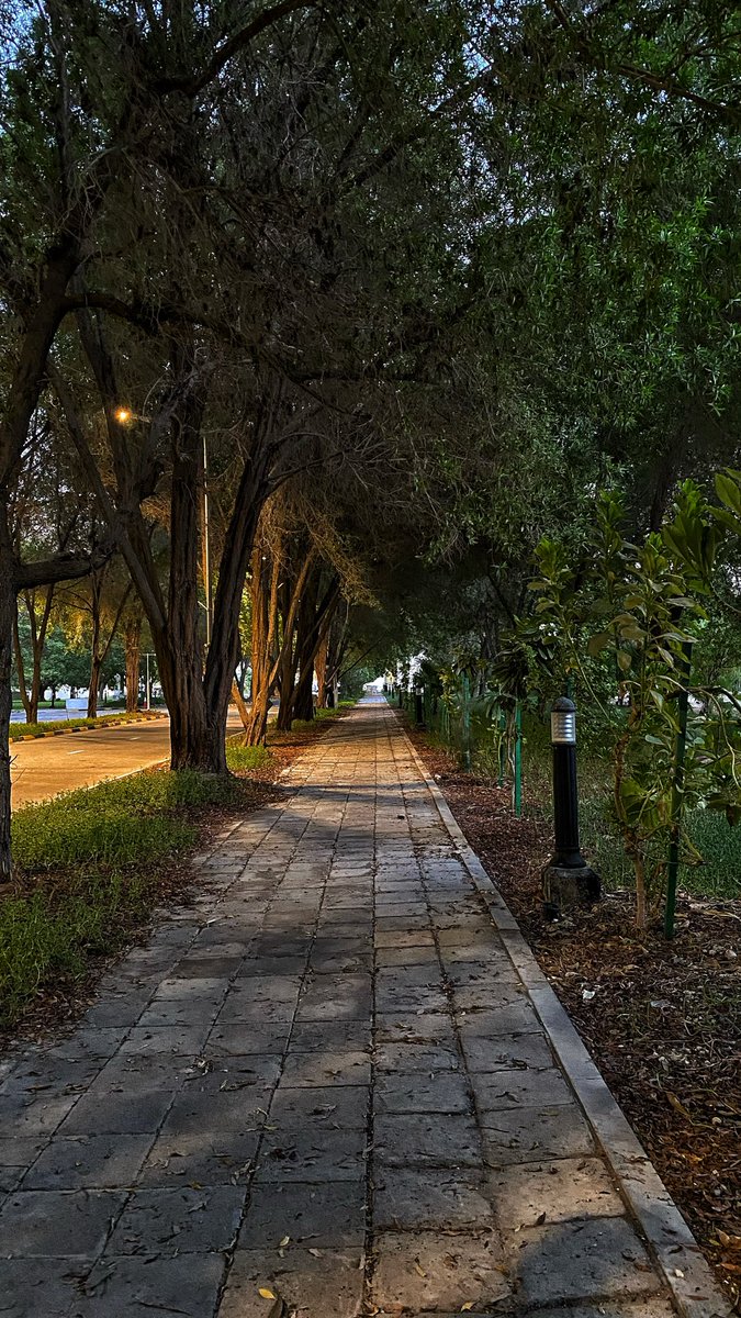 ii7ixzv's tweet photo. University of العظماء https://t.co/aGmrNpk4Gq