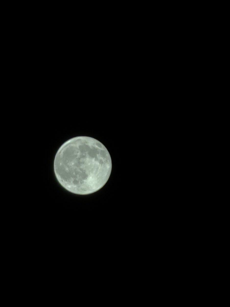 thetempleofrose's tweet photo. Me and the moon are in love!!! https://t.co/d5bLmwgeks