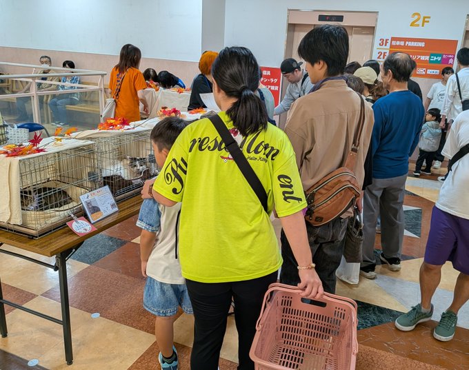 People gathered at a pet event in Japan, including a woman in a yellow shirt carrying a pink pet basket, watching animals in cages.