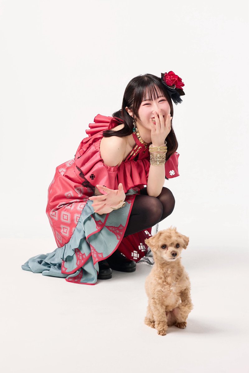 AkihoSuzumoto's tweet photo. こちらはパンフレット撮影時に駆け寄ってきてくれた♡と思いきや即Uターンして僕より完璧なモデル立ちをキメるお犬様です。
#シャニマスソロライブMSP https://t.co/jVWuqDF9Vy