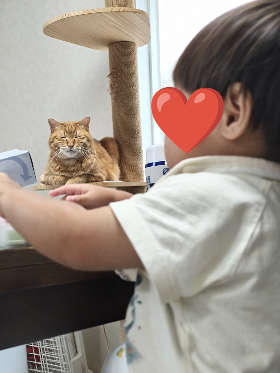 micalunu's tweet photo. 見守り https://t.co/jkcEGnTWLQ
