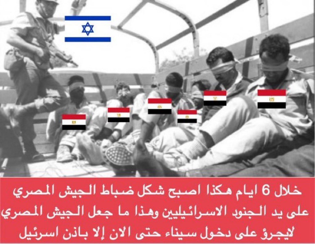 MrYasser_X's tweet photo. @EgyptianWolf22 @shiren42 ايوه ايوه صح انا فاكر حاجه زي كذا انت فاكرها كويس ؟ بعدين يا قذر انت مفكر الناس زي ابوك يلي ما عرف يربيك ويربيك اشكالك اي احد بجي يشخ على ابوك ويمشي لا اوعى مو كل الناس بتتعامل بنفس الطريقة يلي يتعاملوا فيها الناس مع ابوك 🤣🤣🤣 تحياتي ي عسل https://t.co/XQs67qAGGk