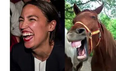 DaGuru1945's tweet photo. @Grace_4America I think you're toooooo DUMB to be president. https://t.co/OPEF0bJAuJ