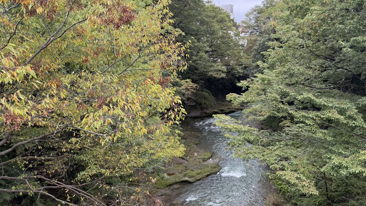chichibu_info's tweet photo. 札所3番 岩本山 常泉寺

裏山の岩の存在感！素晴らしい https://t.co/Bs7z0SohZN